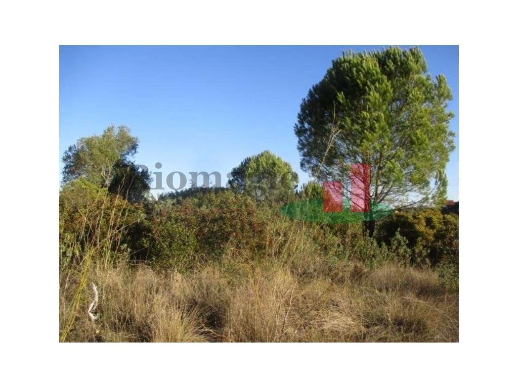 Terreno Urbano em Tomar ****RIOMAGIC**** - Grande imagem: 5/12