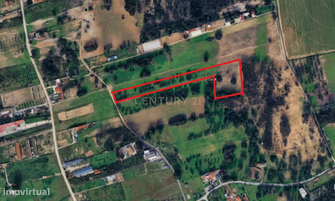 Quinta do Anjo - Terreno Rústico com 10 000m2 - Grande imagem: 4/6