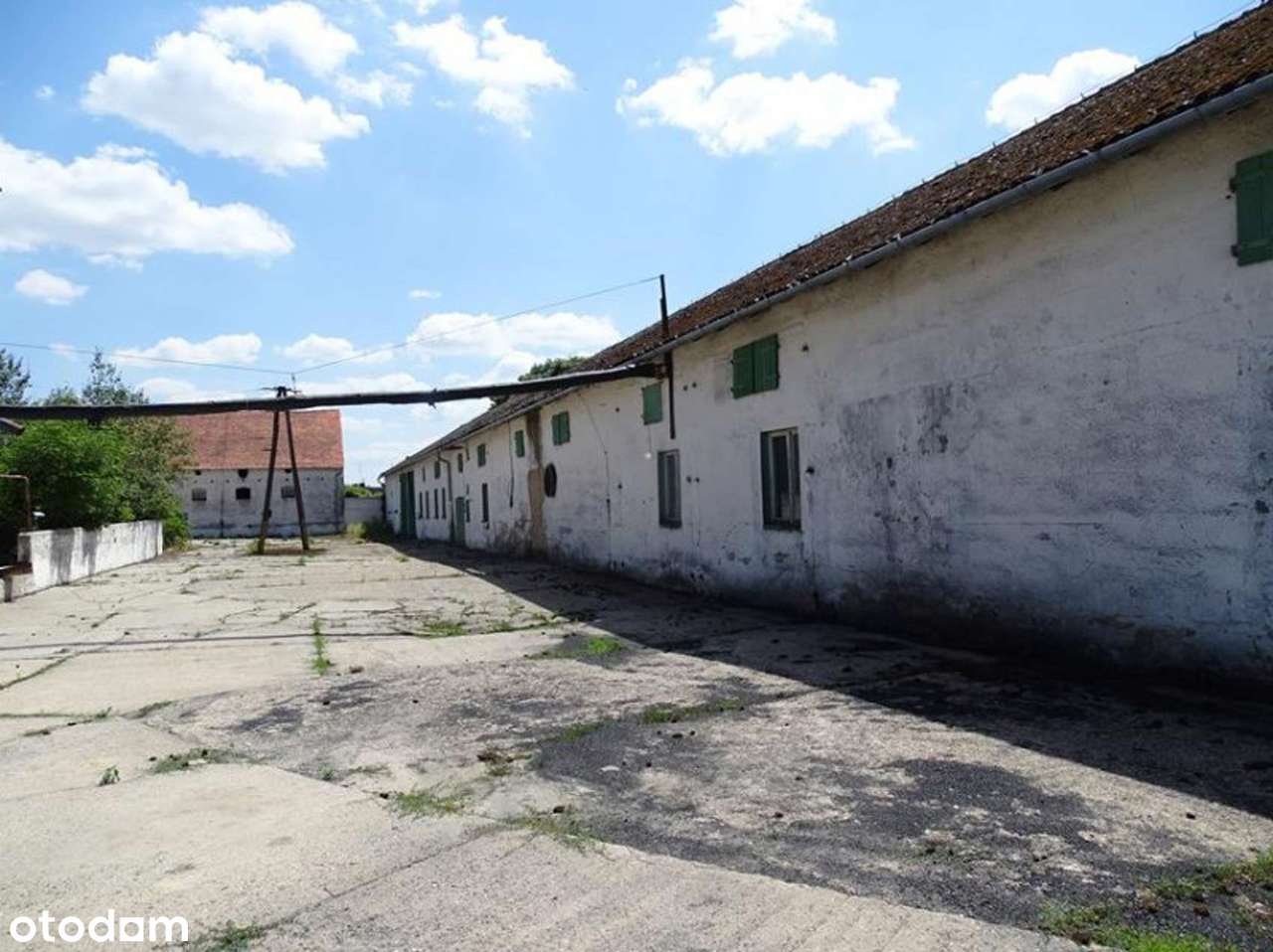 Nieruchomość komercyjna na sprzedaż-12