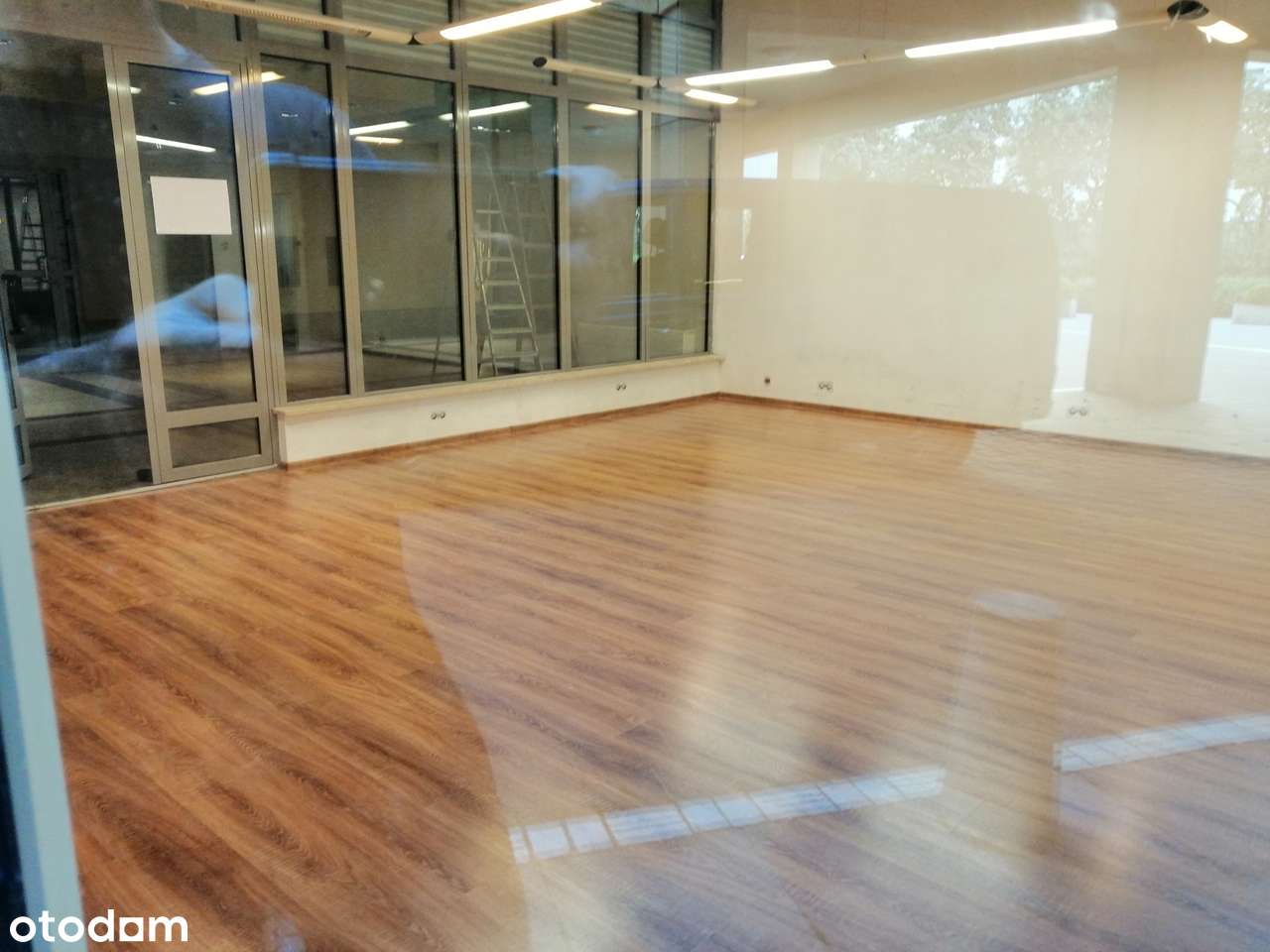 Wynajmę lokal na gabinet, biuro, kancelarię - naprzeciwko Arkadii - Pełny obrazek: 5/5