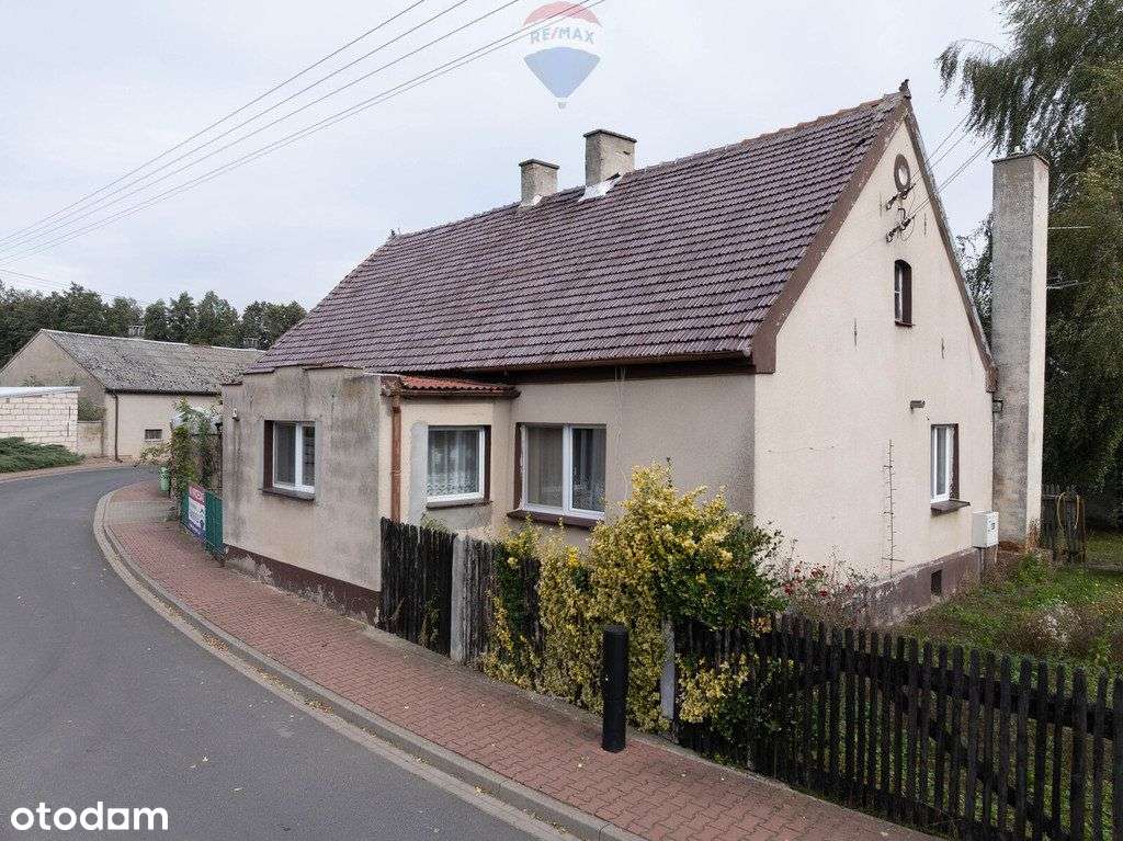 Podrzewie, dom + zabudowania na dużej działce - Pełny obrazek: 5/19