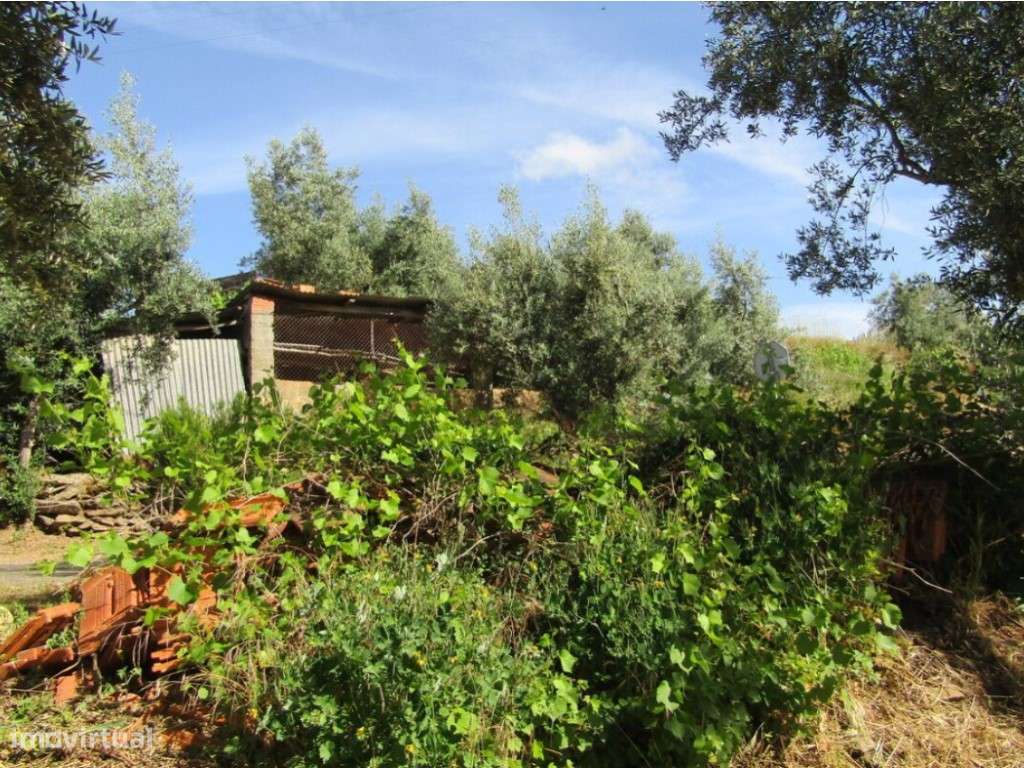 Casa da Taberna, Castelo de Bode, Abrantes-8