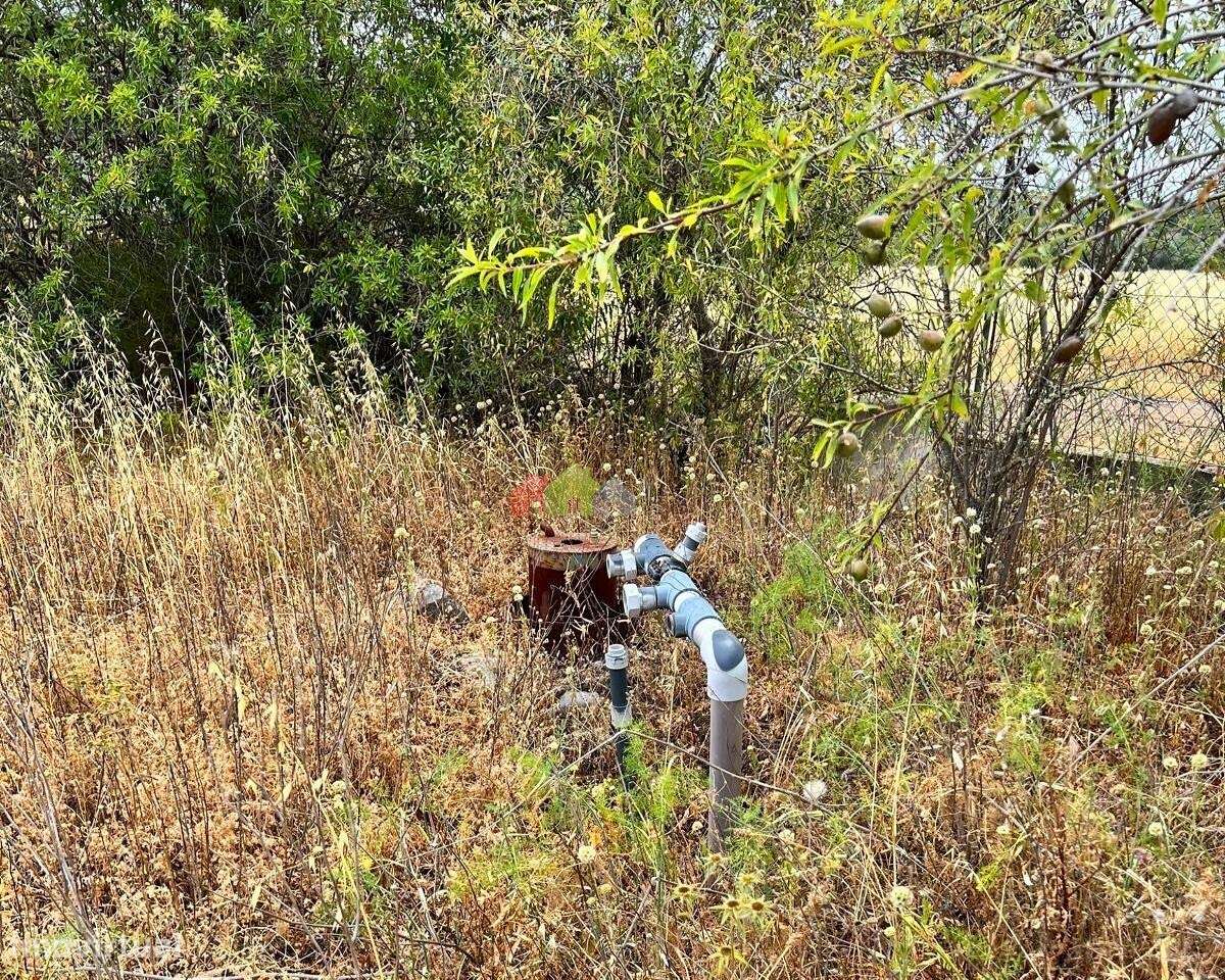 Quinta em Loulé com 9.5 ha com 850 m2 construção-21