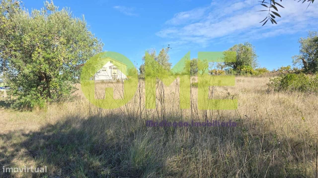 Terreno em Alburitel - Grande imagem: 4/6