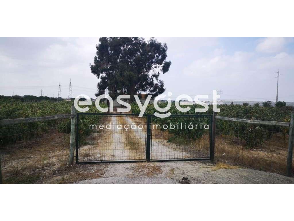 Terreno misto com 8700m2, com vinha, localizado no Pinhal Novo - Grande imagem: 3/10