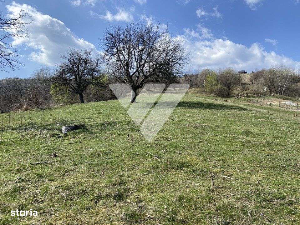 Teren Extravilan de 6630 mp - Cisnadioara - Imagine principală: 4/7