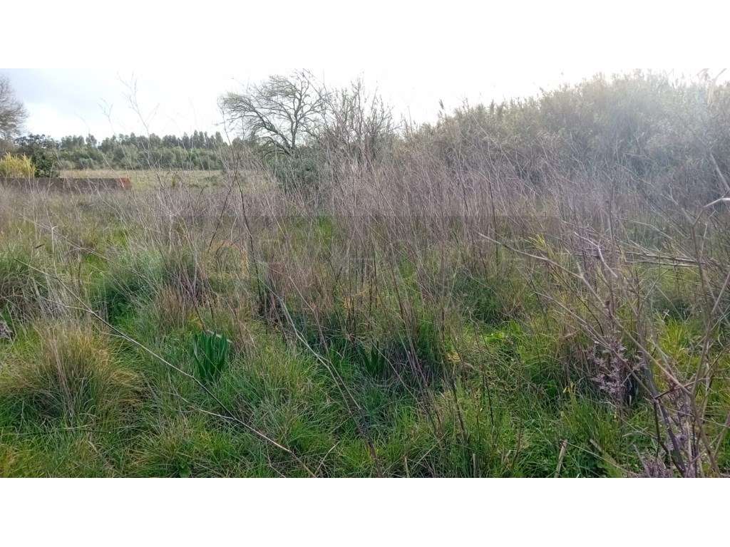 Terreno rústico com Furo de Água | Infraestruturas | Associação de ...-9