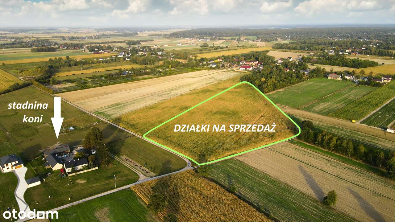 Na sprzedaż działki budowalne z WZ Andrespol Bedoń Brzeziny Koluszki-5