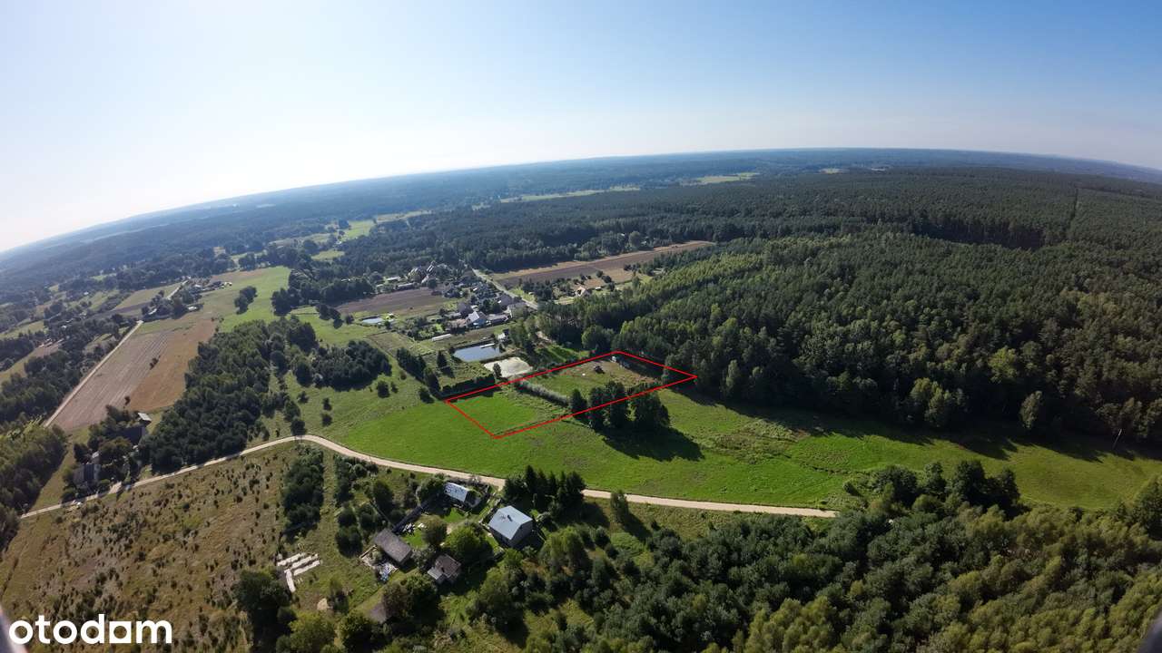 Działka przy lesie z WZ - 4500m2, uzbrojona - Pełny obrazek: 5/11