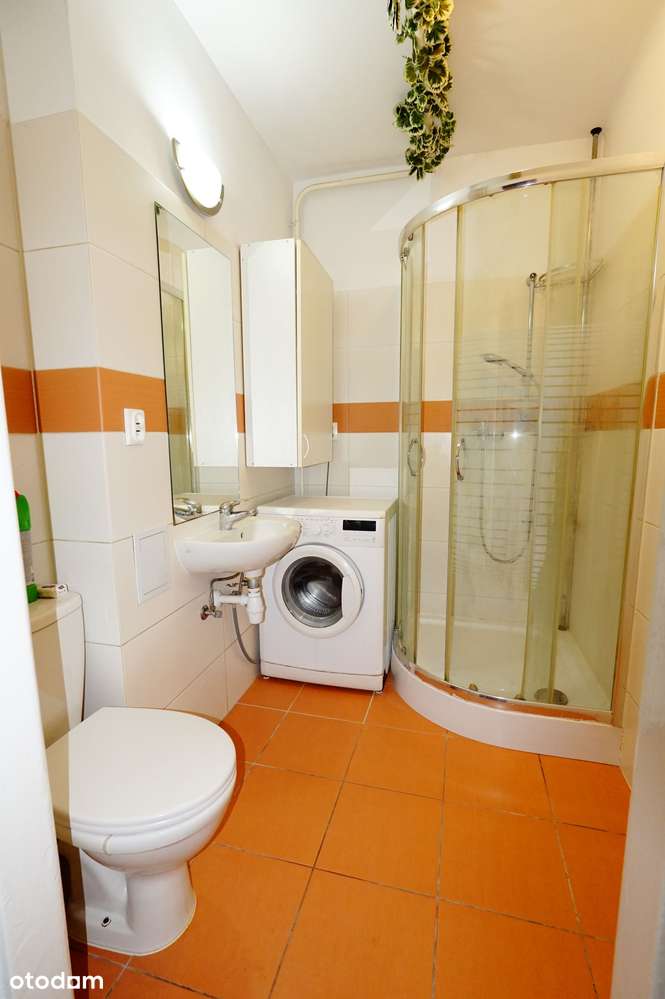 w sąsiedztwie centrum/spokojna okolica-3