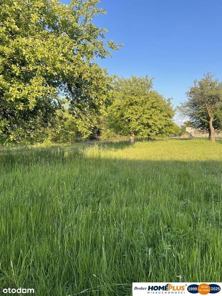 Działka 2519 m² pod zabudowę jednorodzinną - Pełny obrazek: 4/6