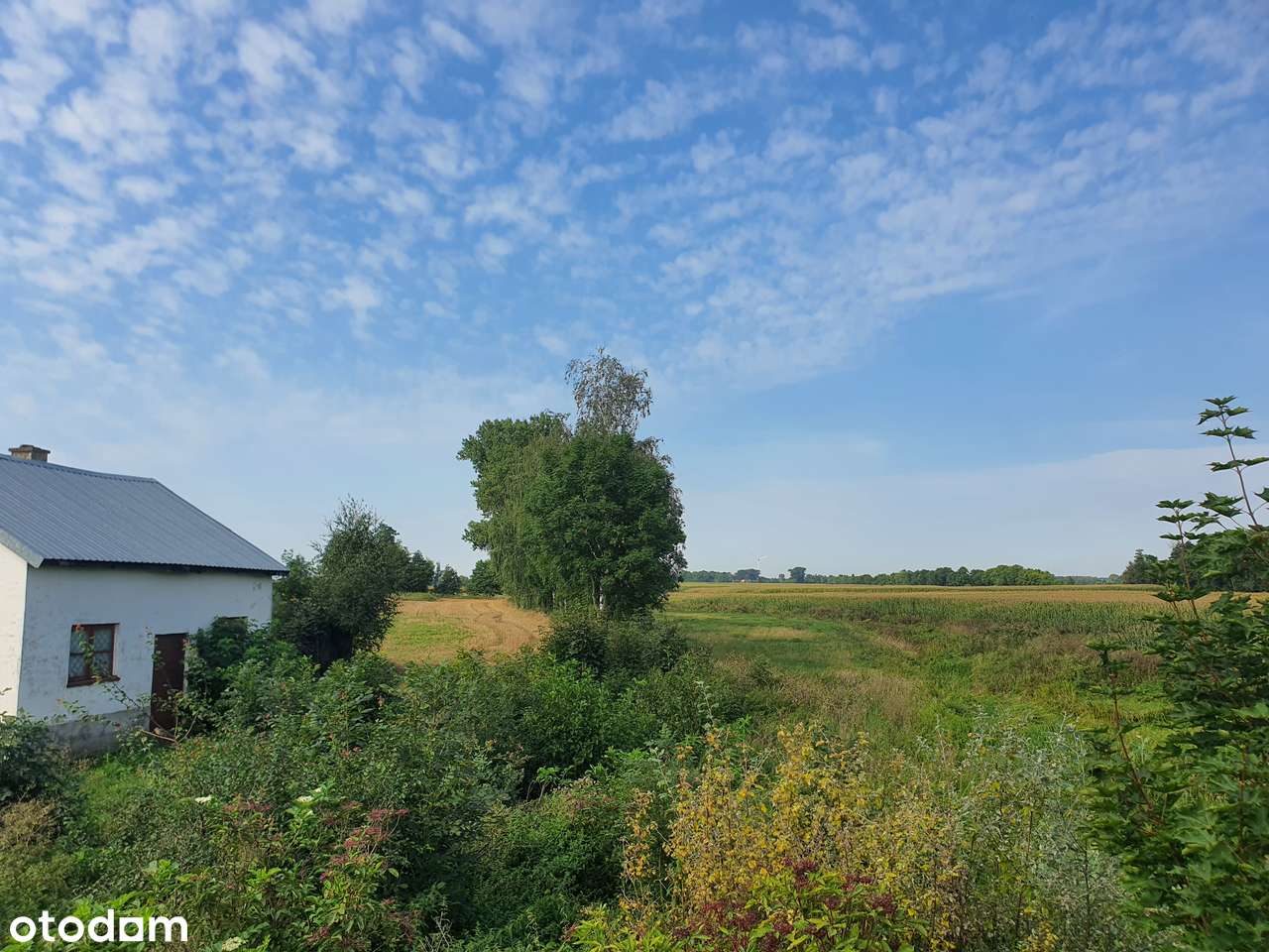 Dom nad rzeką Soną | Działka 2074M2 |-10
