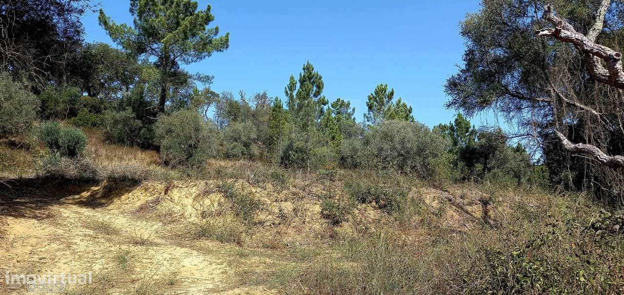 Terreno para Construção em Vale do Mouro de Baixo, Melides - Grande imagem: 2/5