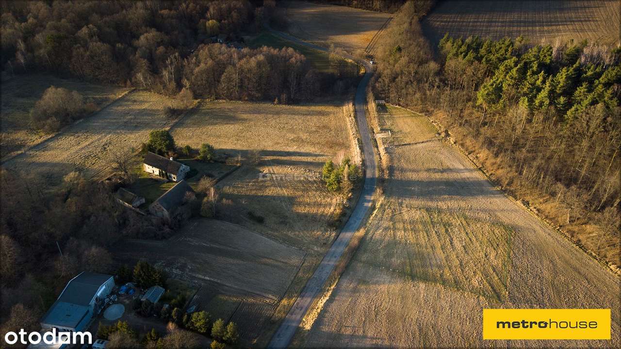 2 DZIAŁKI W JEDNEJ CENIE 20 km OD STRZELINA - Pełny obrazek: 5/18