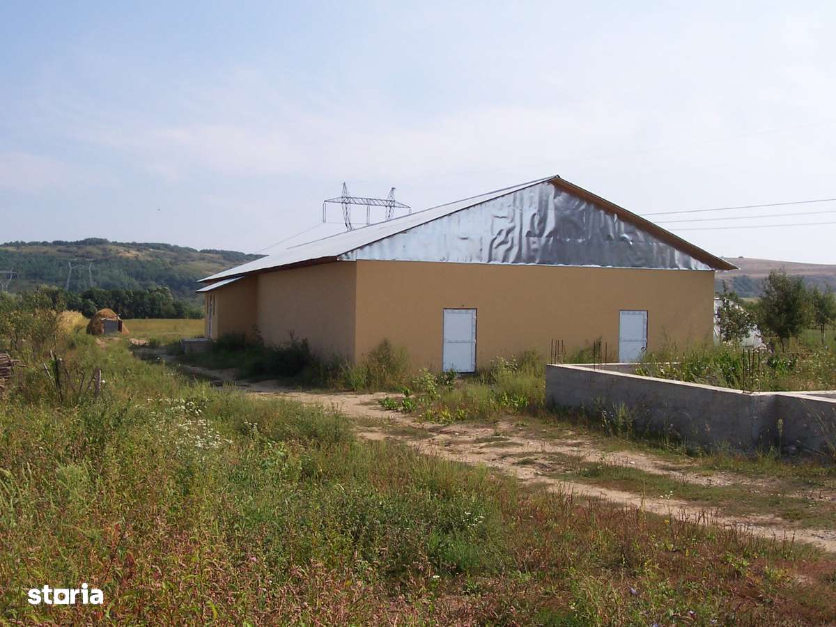 Inchiriez hala 671mp, constructie noua, sat Spinus - Imagine principală: 2/8