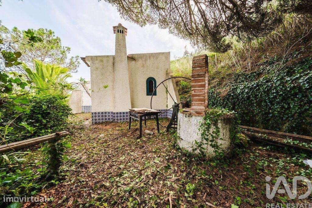 Terreno misto em Foz do Arelho - Grande imagem: 3/23