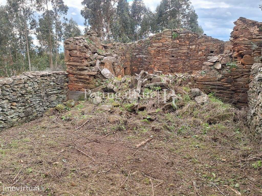 Propriedade com 3,5 ha e construções para recuperar - Grande imagem: 5/27