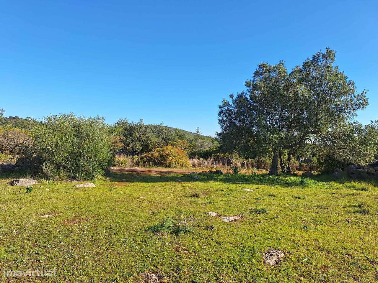 Terreno Rústico no Sítio do Laranjeiro de Santa Catarina da Fonte d...-8