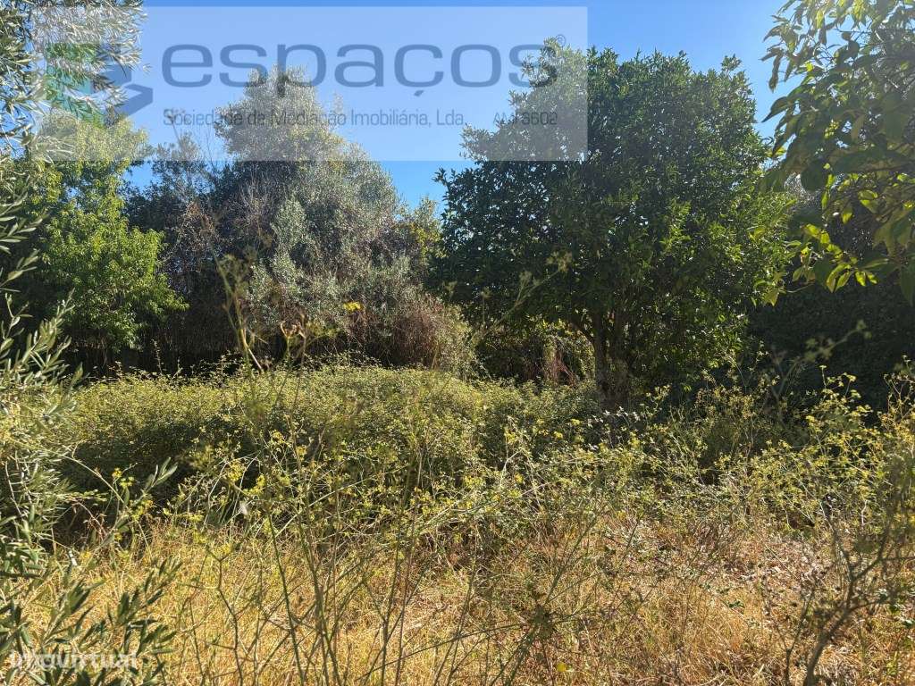 Moradia com terreno-10