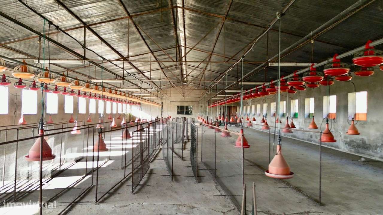 Lote 12.750 m² com 5 Armazéns | Acesso imediato à A41 | Oportunidade Ú-7