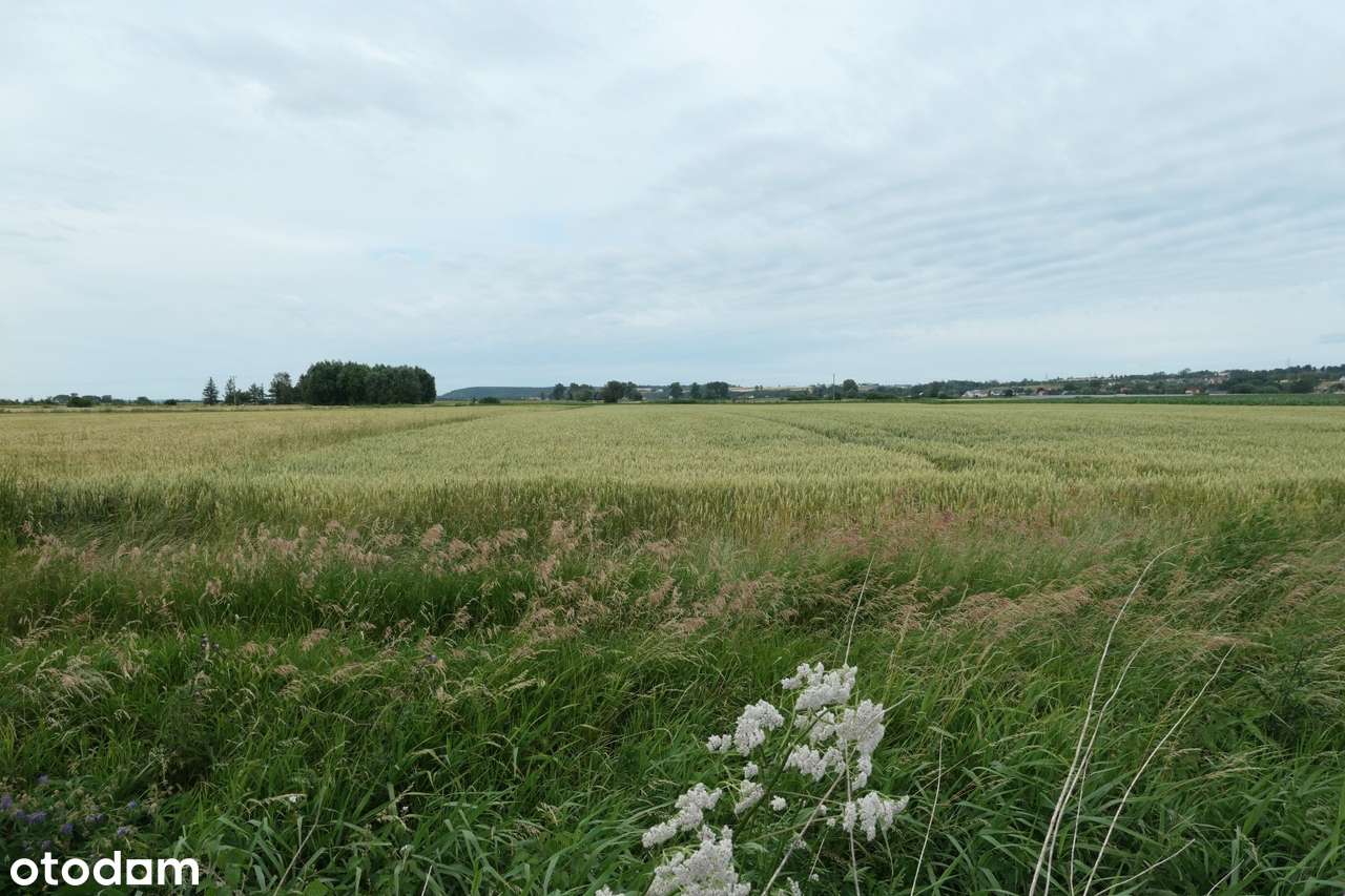 Działka z warunkami zabudowy | Mareza - Pełny obrazek: 4/8