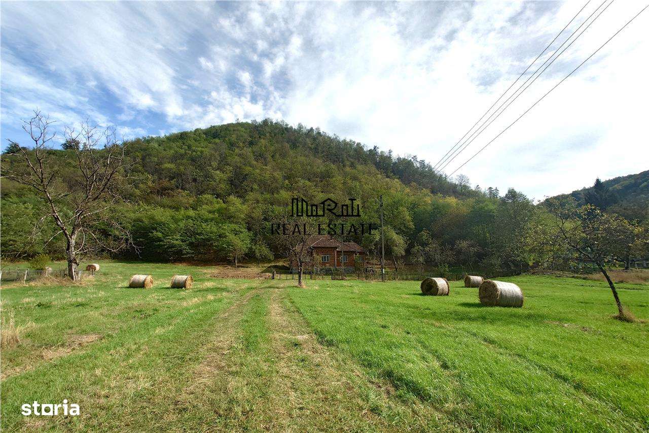 Teren, padure si casa in Dumbrava de Jos, jud. Hunedoara-18