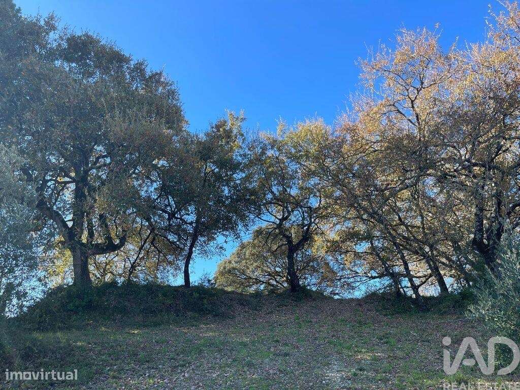 Terreno em Além da Ribeira e Pedreira - Grande imagem: 4/6