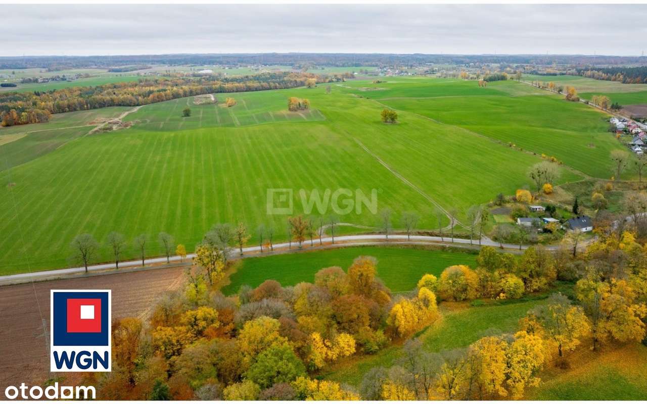 Na sprzedaż, Gospodarstwo Rolne- Ekologiczna Farma Mleczna, Wyczechowo-17