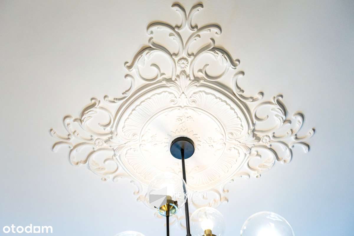 102 m² w kamienicy po rewitalizacji — Jeżyce-19