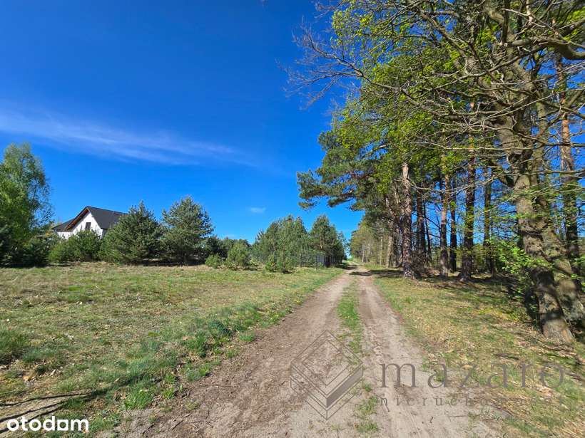 Działka przy lesie z WZ - Pełny obrazek: 5/6