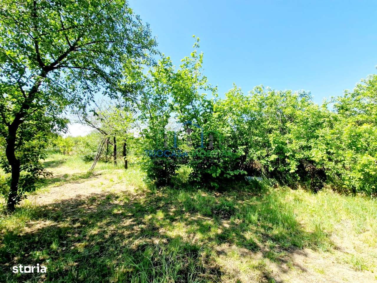 Casa caramida si 3742 mp teren intravilan - Imagine principală: 1/3