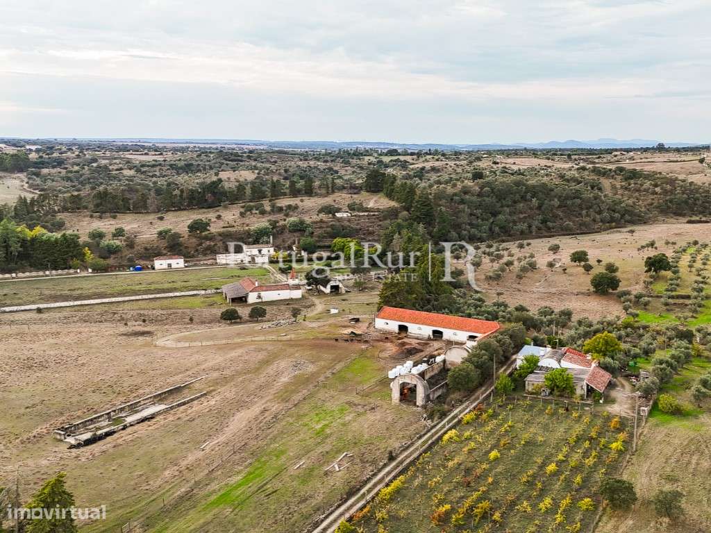 Herdade com 40 hectares e Moradia T5 em Portalegre - Grande imagem: 5/60