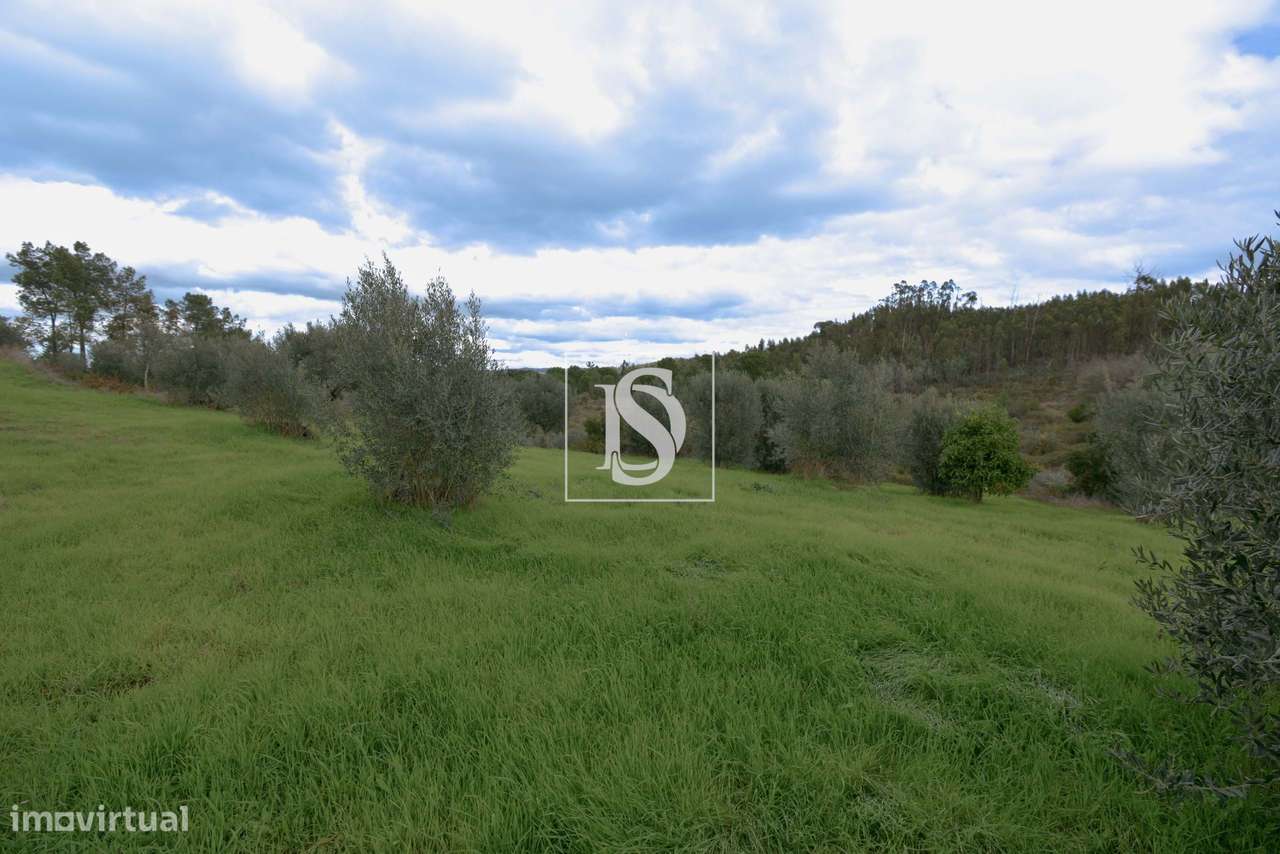 Terreno Urbano Linhaceira Tomar-5