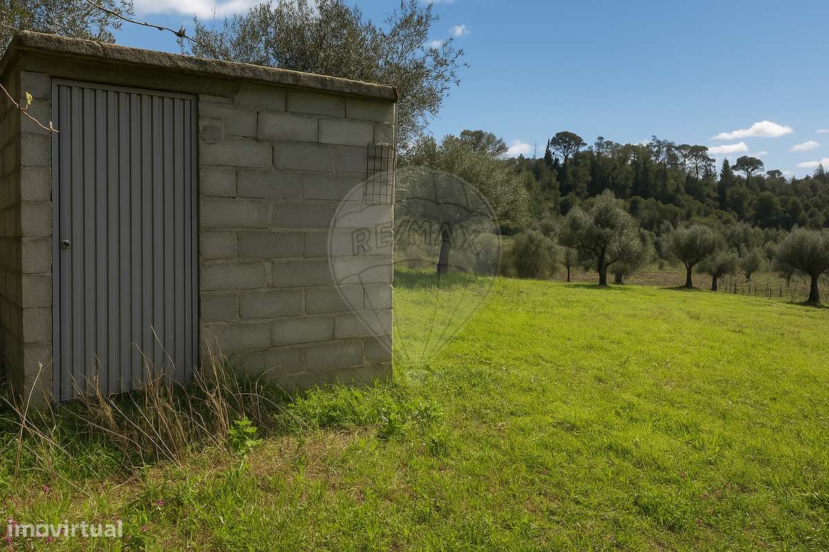 Terreno  para venda - Grande imagem: 4/12