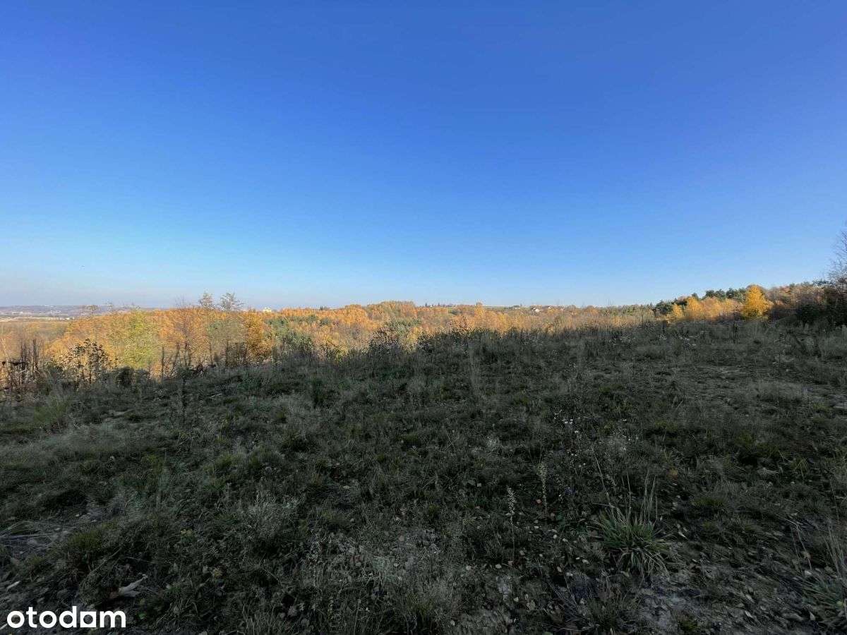 Widokowa działka 1 ha pod lasem Siedliska - Pełny obrazek: 5/10