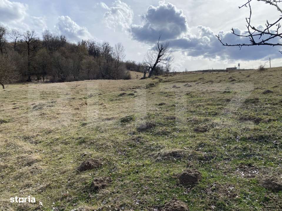 Teren extravilan in suprafata de 7500 mp la poalele Mesesului - Imagine principală: 5/8