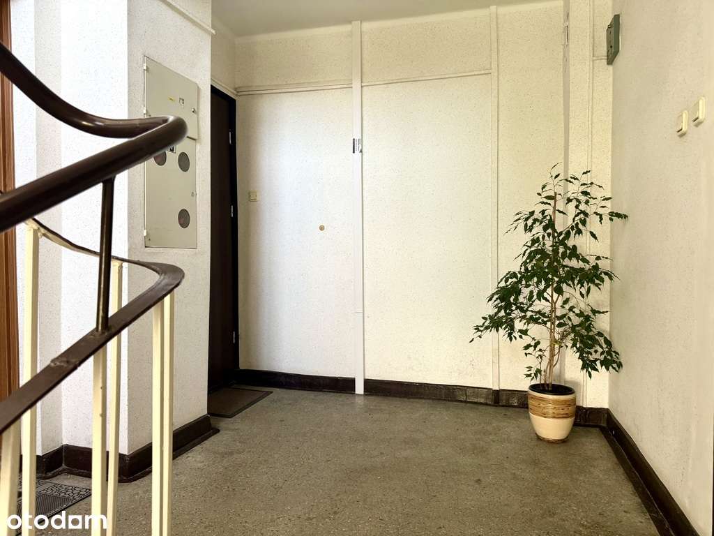 Ustawne do własnej aranżacji w zielonej okolicy-2