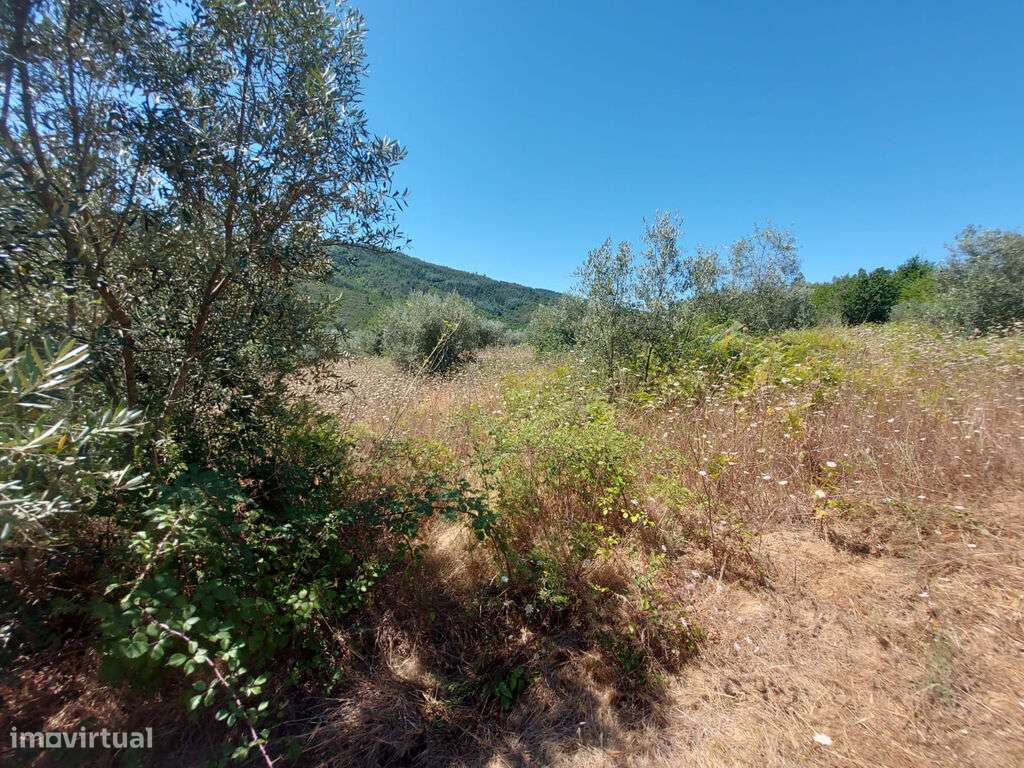 Venda Terreno - Grande imagem: 4/6