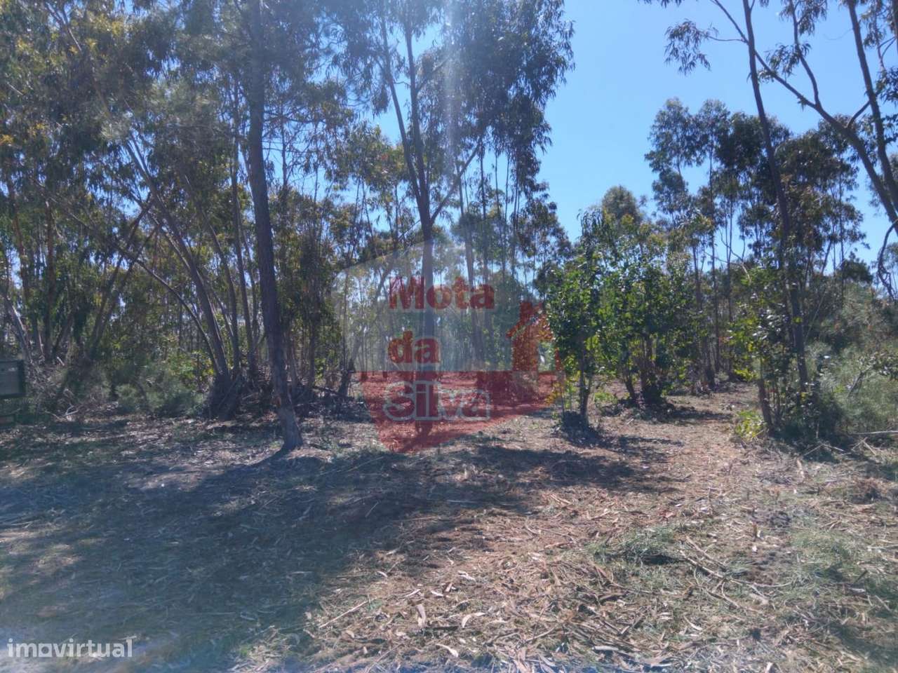 Excelente Terreno em Melides, Grândola - Grande imagem: 5/13