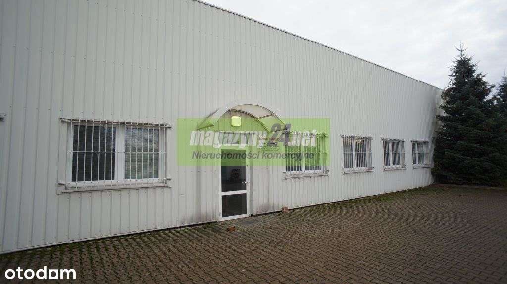 Hala/Magazyn, 6 734 m², Stargard - Pełny obrazek: 4/11