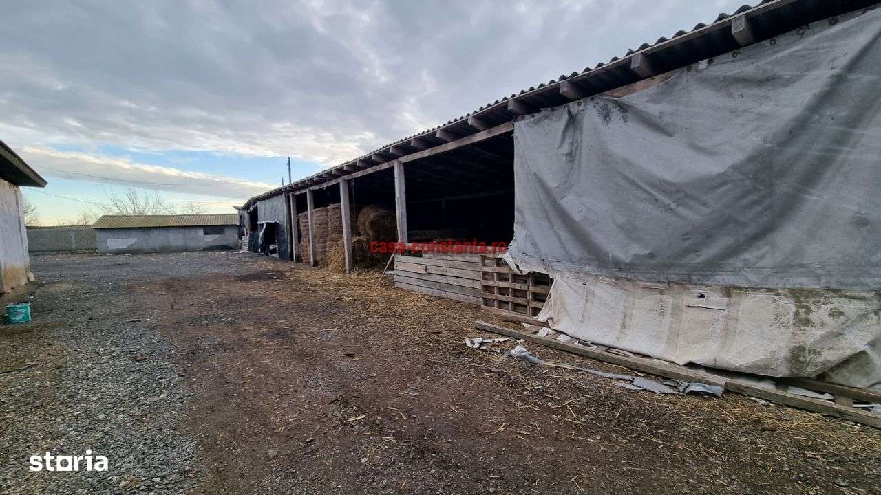 Topraisar - Fermă Animale - Teren 2173 mp, Construcții 304 mp-6