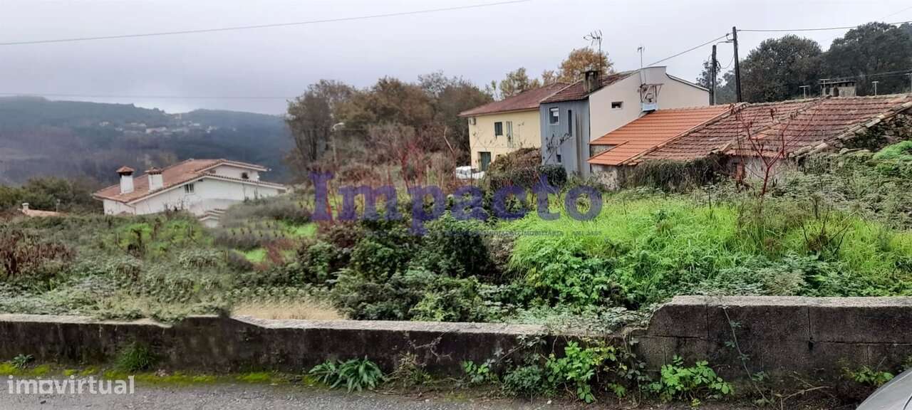 Terreno rústico em Palmaz, Oliveira de Azeméis - Grande imagem: 3/9