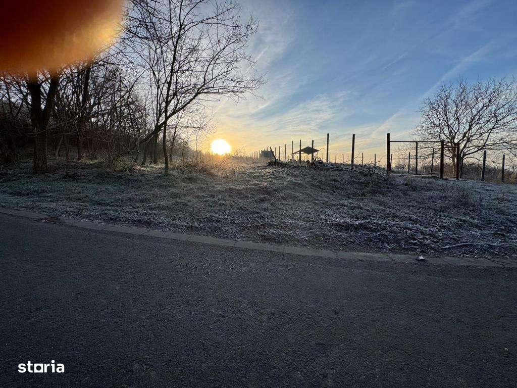 Teren de vânzare în Gusterița, cu acces asfaltat-3