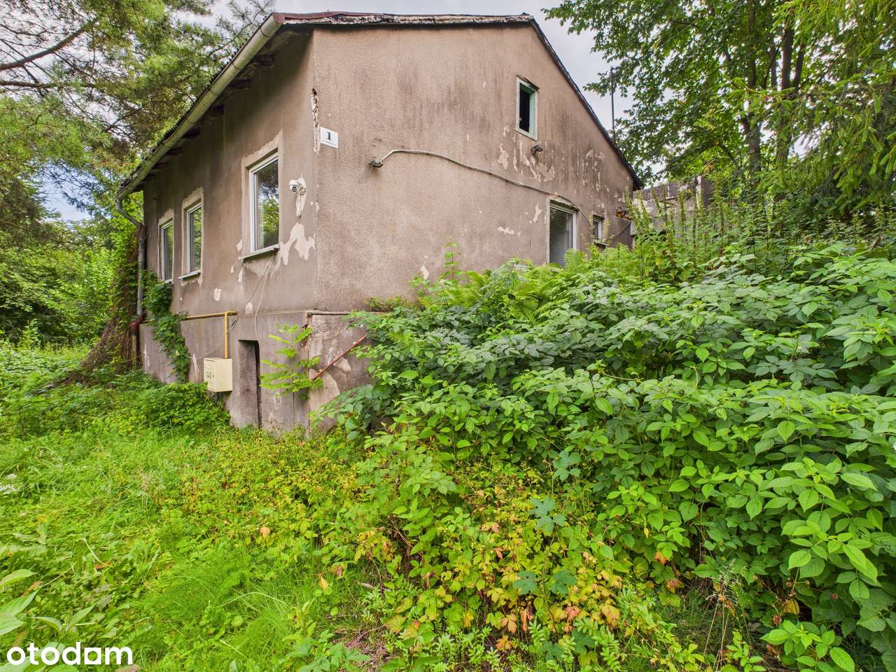 Zielona Działka z Własnym Źródłem i Stawem w Świetnej Lokalizacji!-1