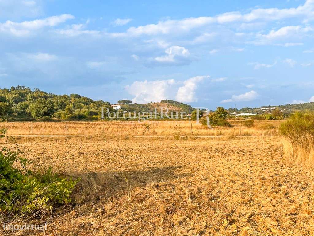 Quinta de regadio com 46.000 m2, em Alcaria - Fundão - Grande imagem: 2/28