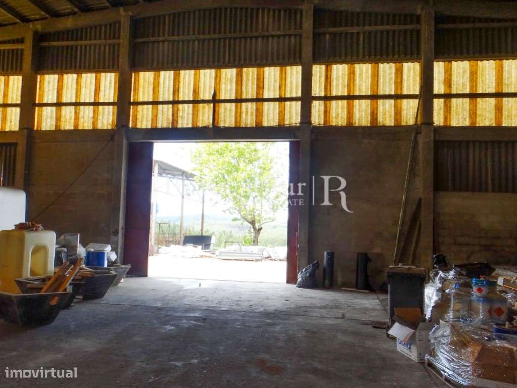 Armazém Industrial com 24.423m2 em Proença-a-Nova - Grande imagem: 5/9