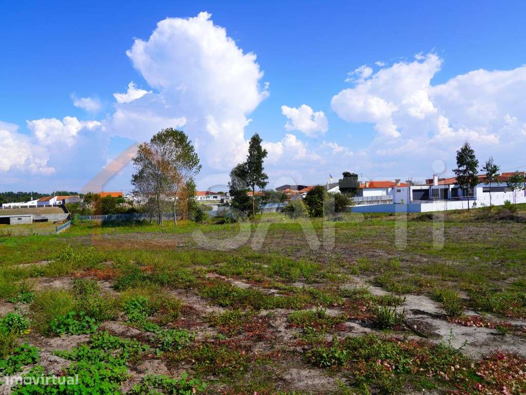 Terreno com 2500m2 para construção . - Grande imagem: 5/15