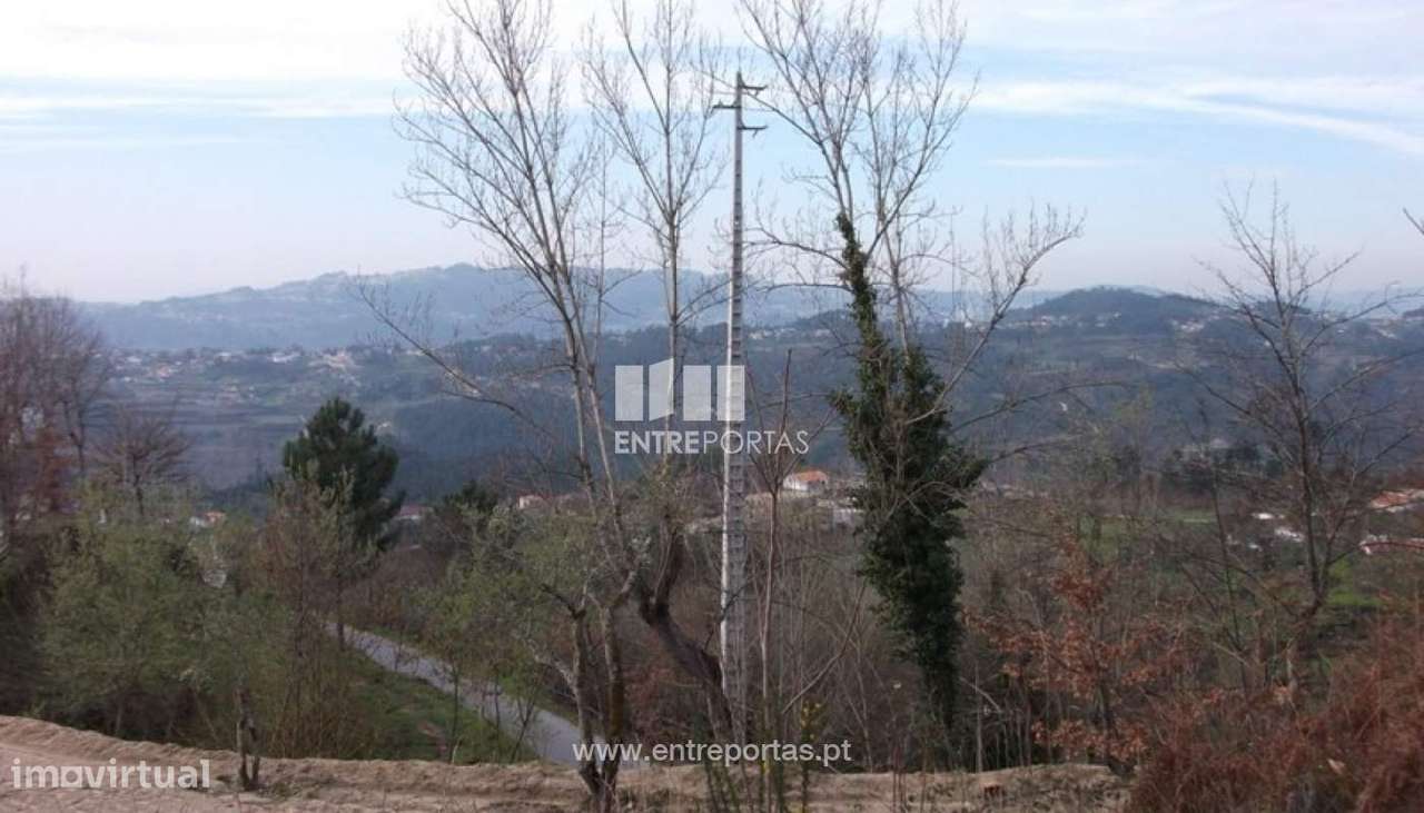 Venda Terreno, Folhada, Marco de Canaveses - Grande imagem: 2/8