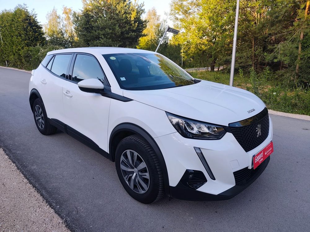 Peugeot 2008 II (2019-) 2020