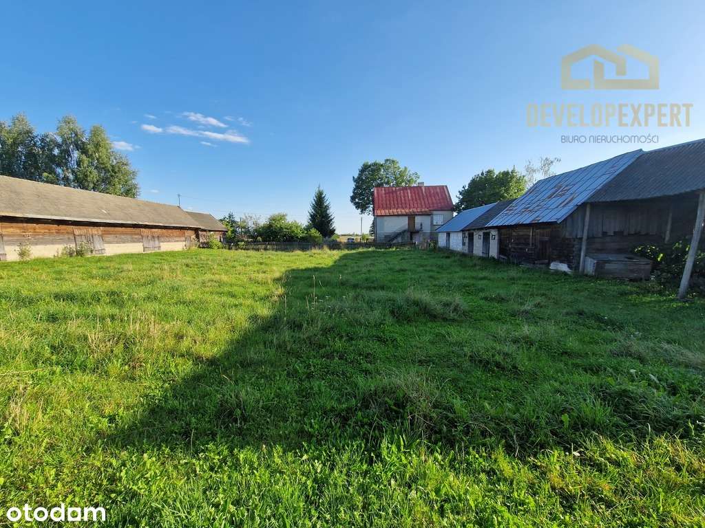 Siedlisko na Podlasiu 30km od Białowieży, 2rodziny-8
